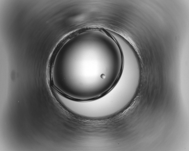 X0000094330984200711021407