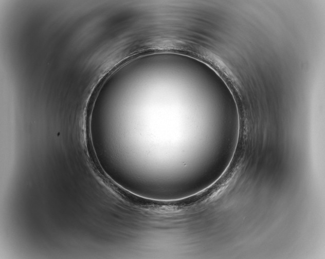 X0000094330986200711021407