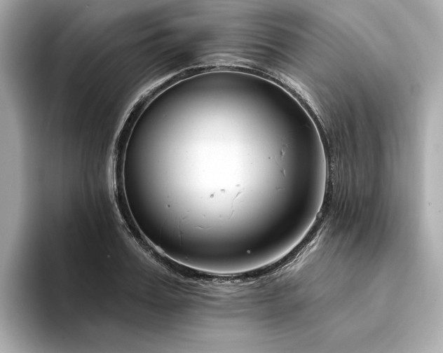 X0000094330987200711021406