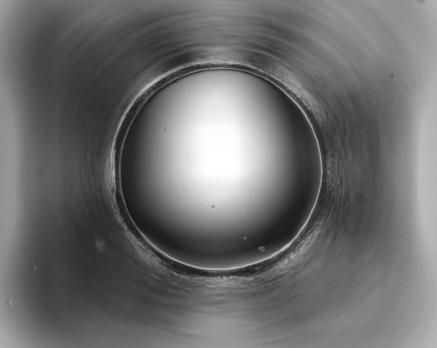 X0000094330988200711021406