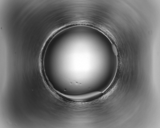 X0000094330989200711021406