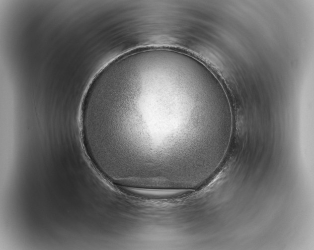 X0000094330990200711021406