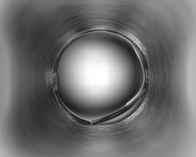 X0000094330993200711021406