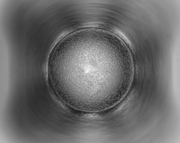 X0000094330994200711021406