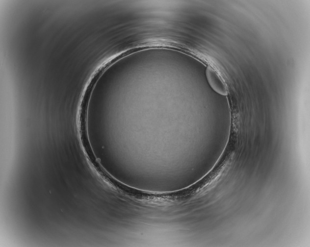 X0000094330995200711021406