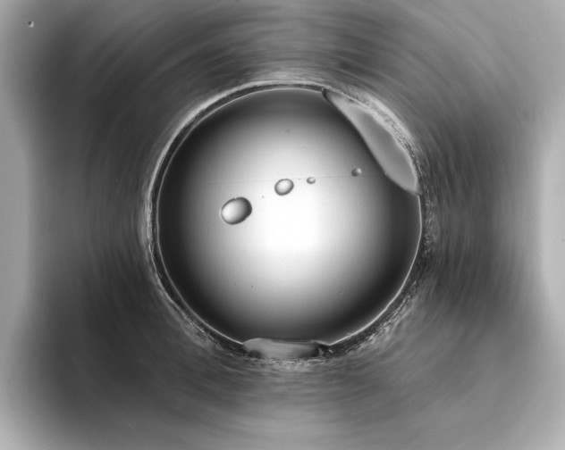 X0000094330996200711021406