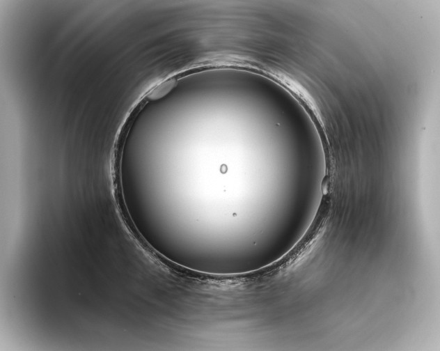 X0000094330997200711021406