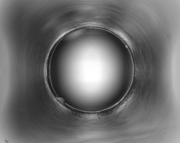 X0000094330999200711021406
