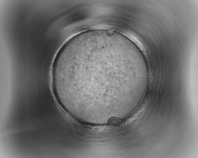 X0000094331000200711021406