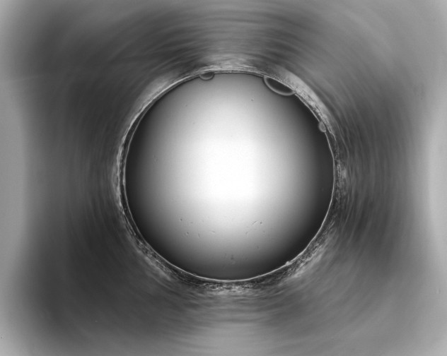 X0000094331002200711021406