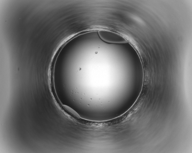 X0000094331003200711021406