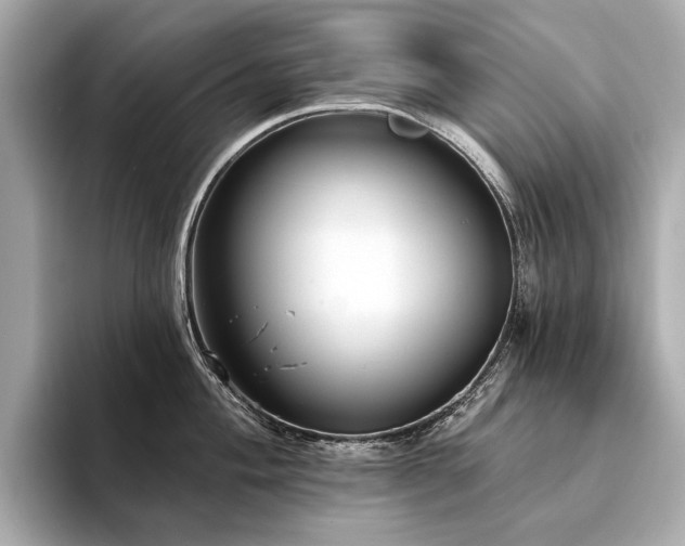 X0000094331004200711021406