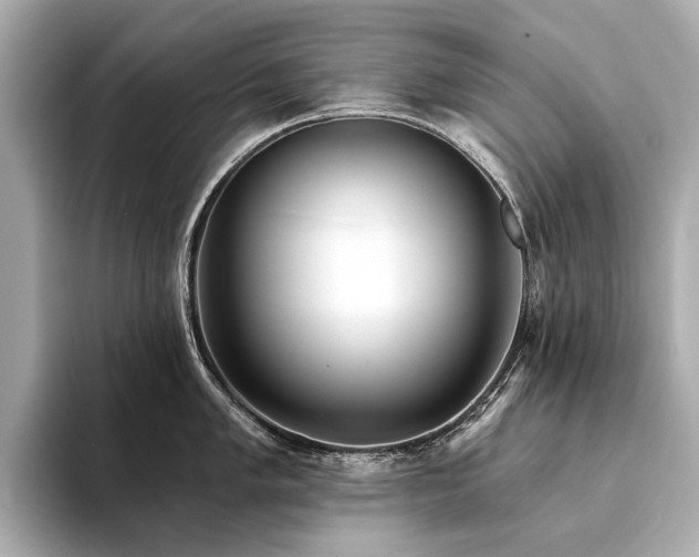 X0000094331005200711021406