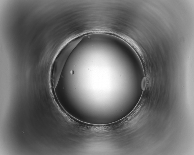 X0000094331006200711021406