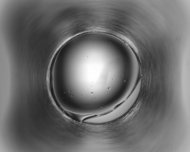X0000094331007200711021406