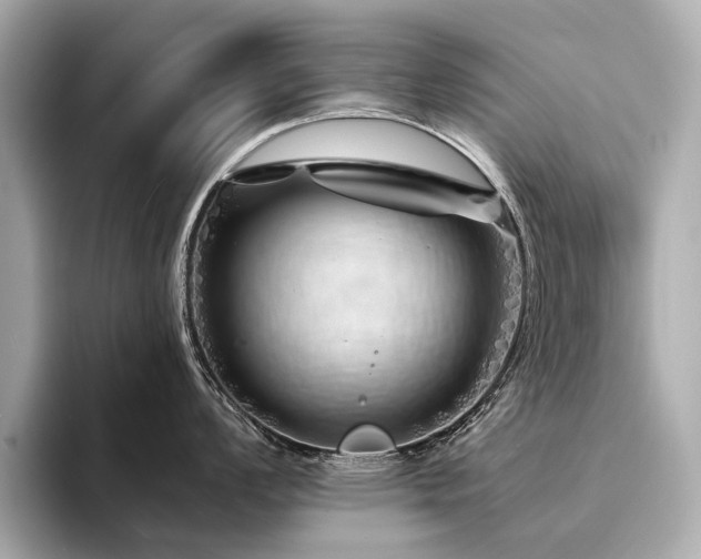 X0000094331008200711021406