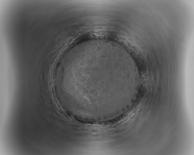 X0000094331009200711021406
