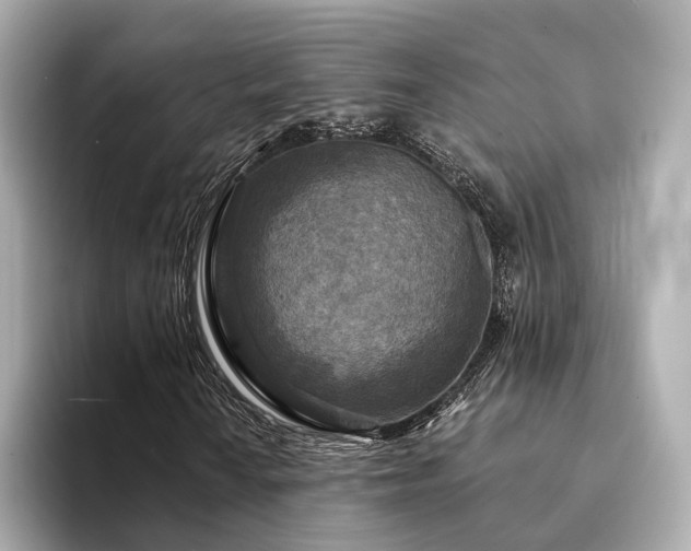 X0000094331010200711021406