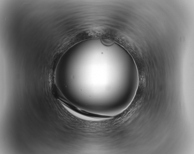 X0000094331012200711021406