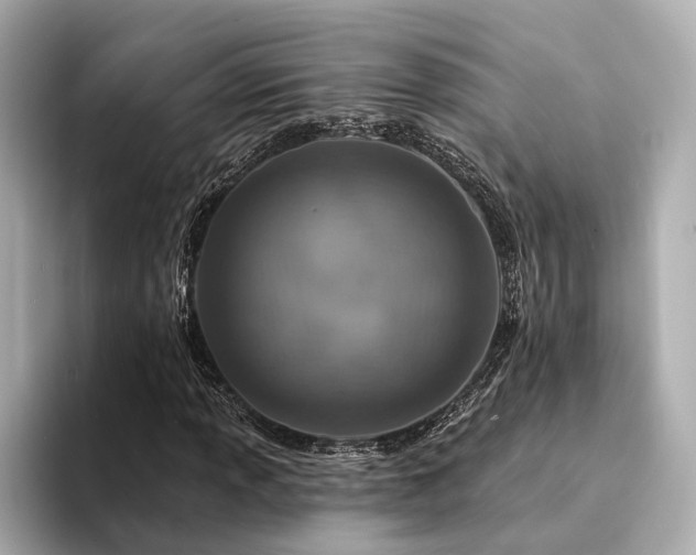 X0000094331013200711021406