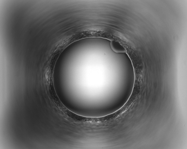 X0000094331014200711021406