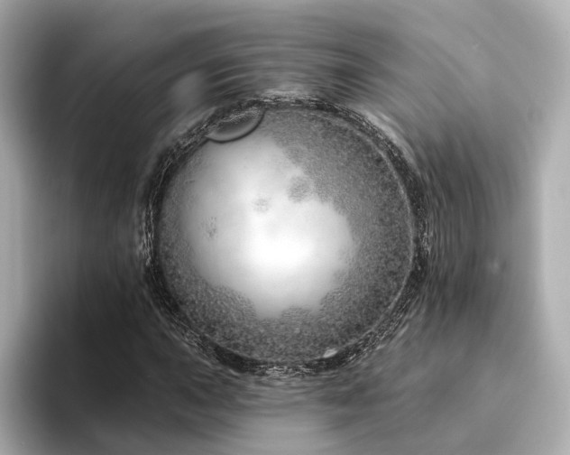 X0000094331015200711021406