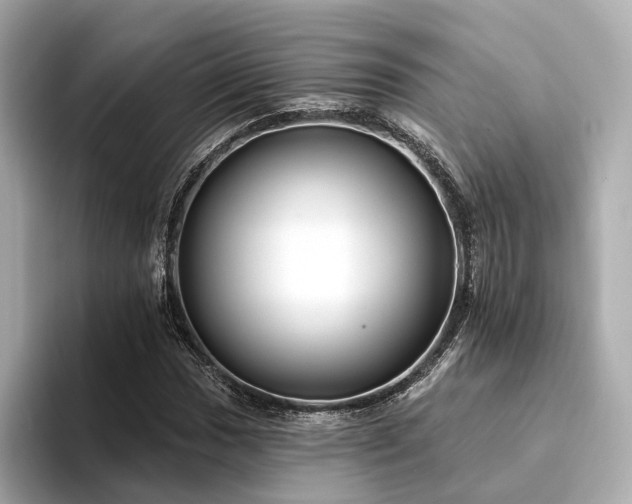 X0000094331017200711021406
