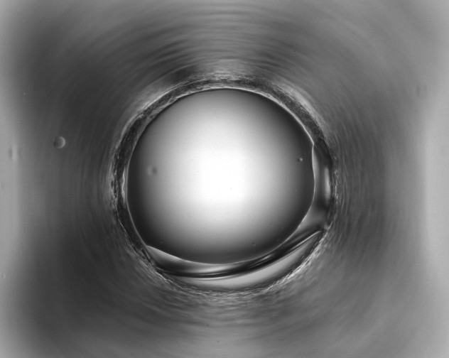 X0000094331018200711021406