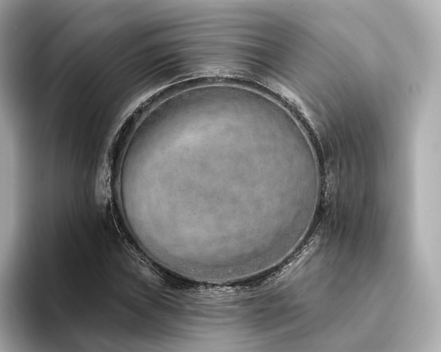X0000094331019200711021406