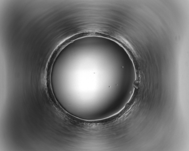 X0000094331020200711021406