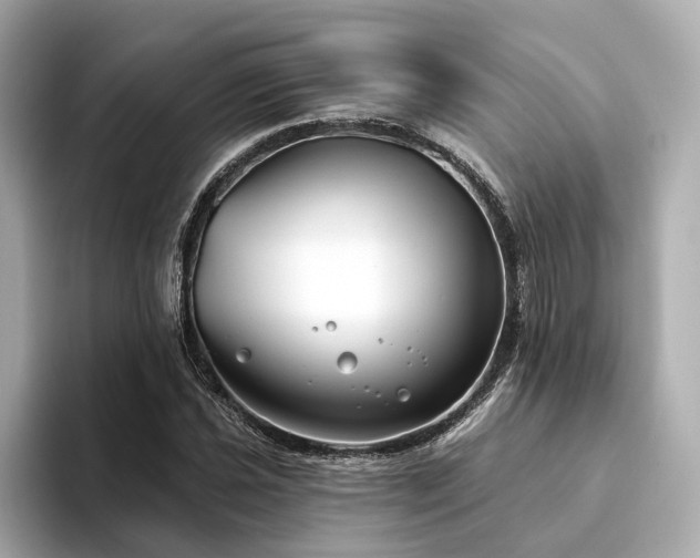 X0000094331021200711021406