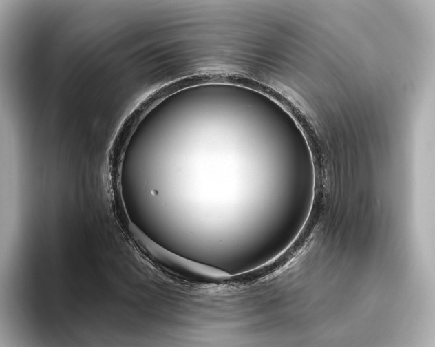 X0000094331022200711021406