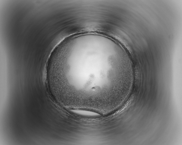 X0000094331023200711021406