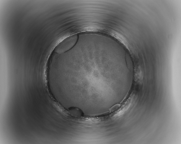 X0000094331026200711021406