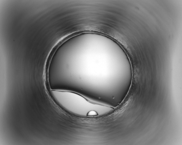 X0000094331028200711021406