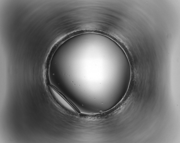 X0000094331029200711021406
