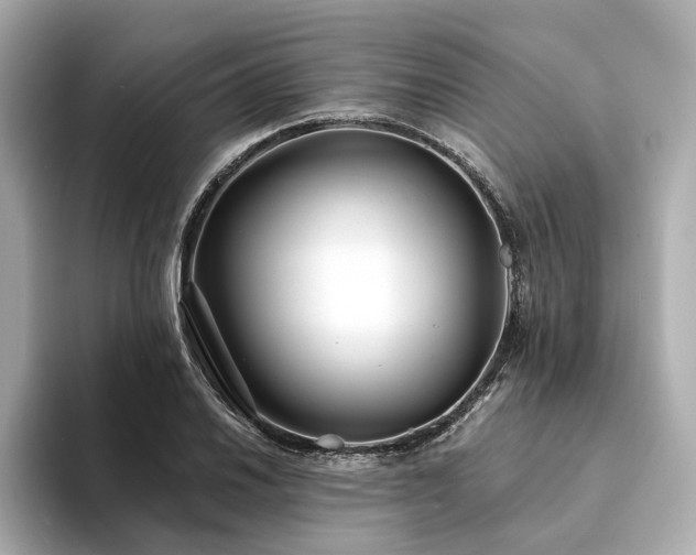 X0000094331030200711021406