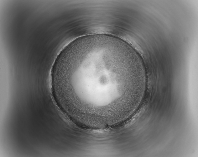 X0000094331031200711021406