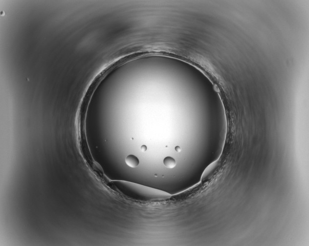 X0000094331032200711021406