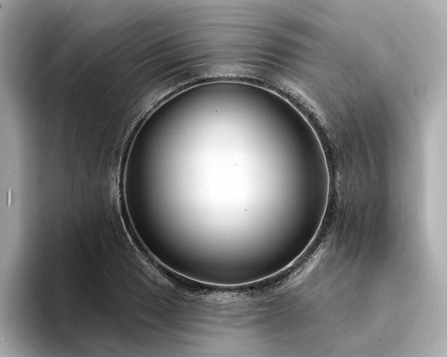 X0000094331033200711021406