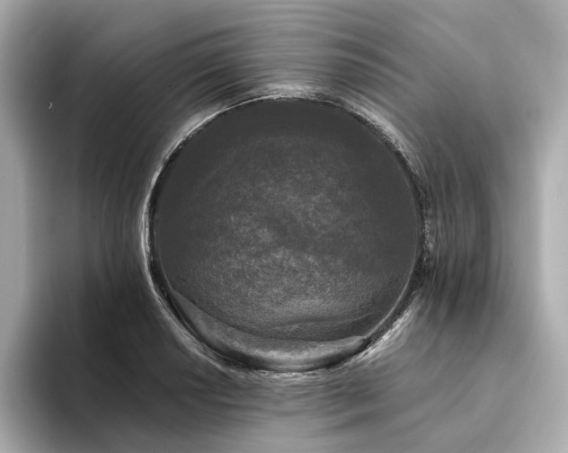 X0000094331034200711021406