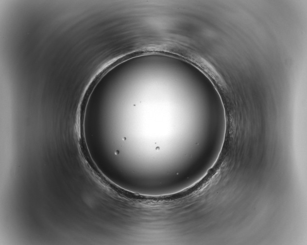 X0000094331036200711021406