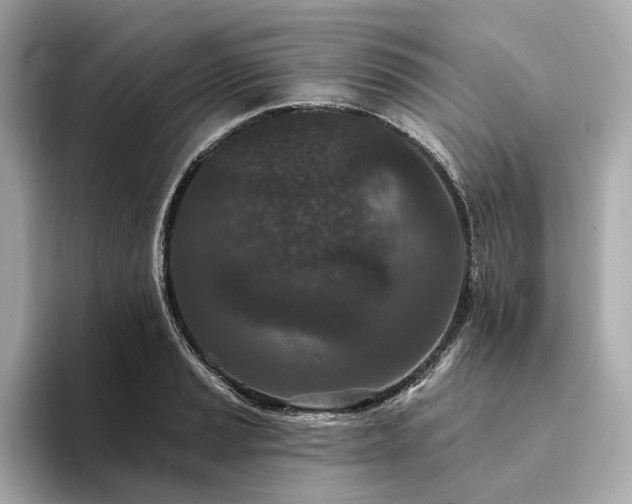 X0000094331037200711021406