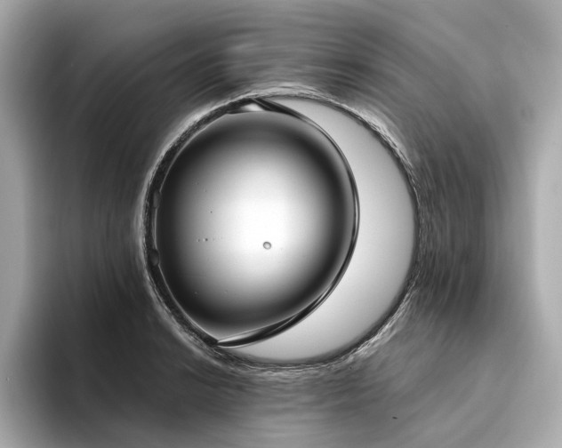 X0000094331038200711021406