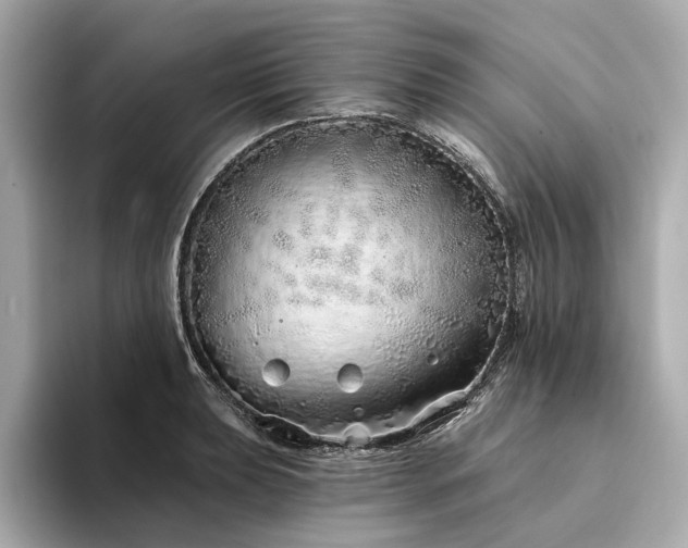 X0000094331039200711021406