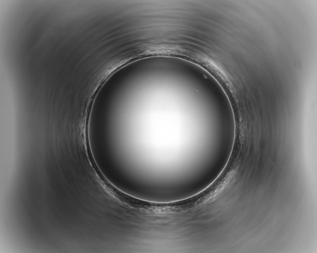 X0000094331041200711021406
