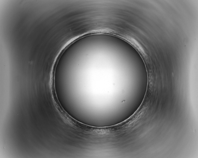 X0000094331044200711021406