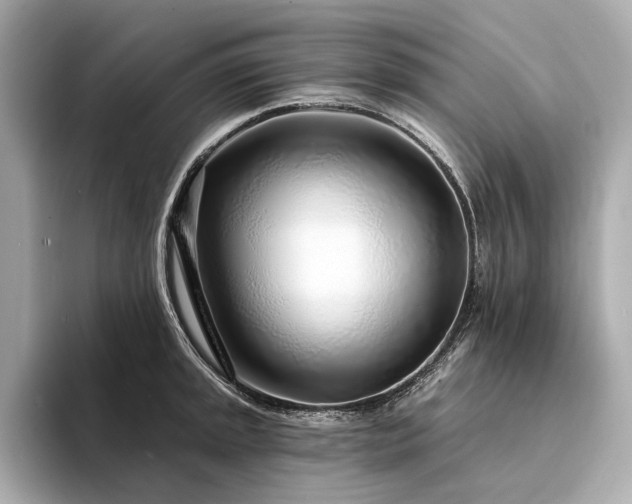 X0000094331045200711021406