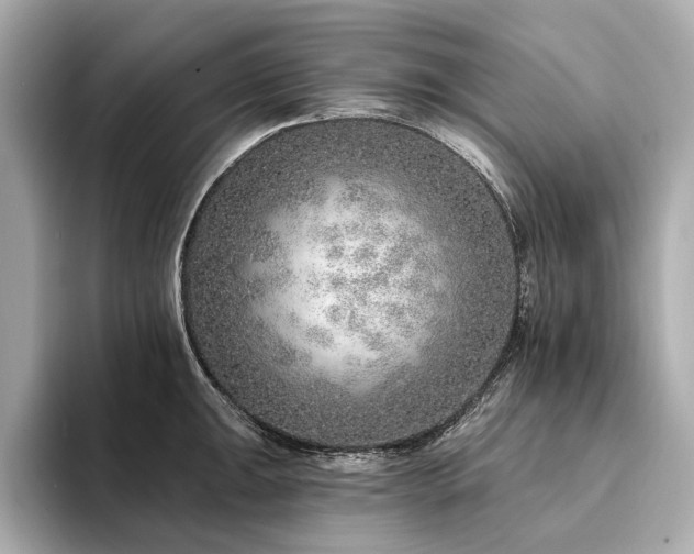 X0000094331047200711021406
