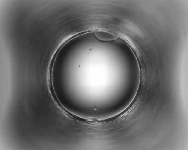 X0000094331048200711021406